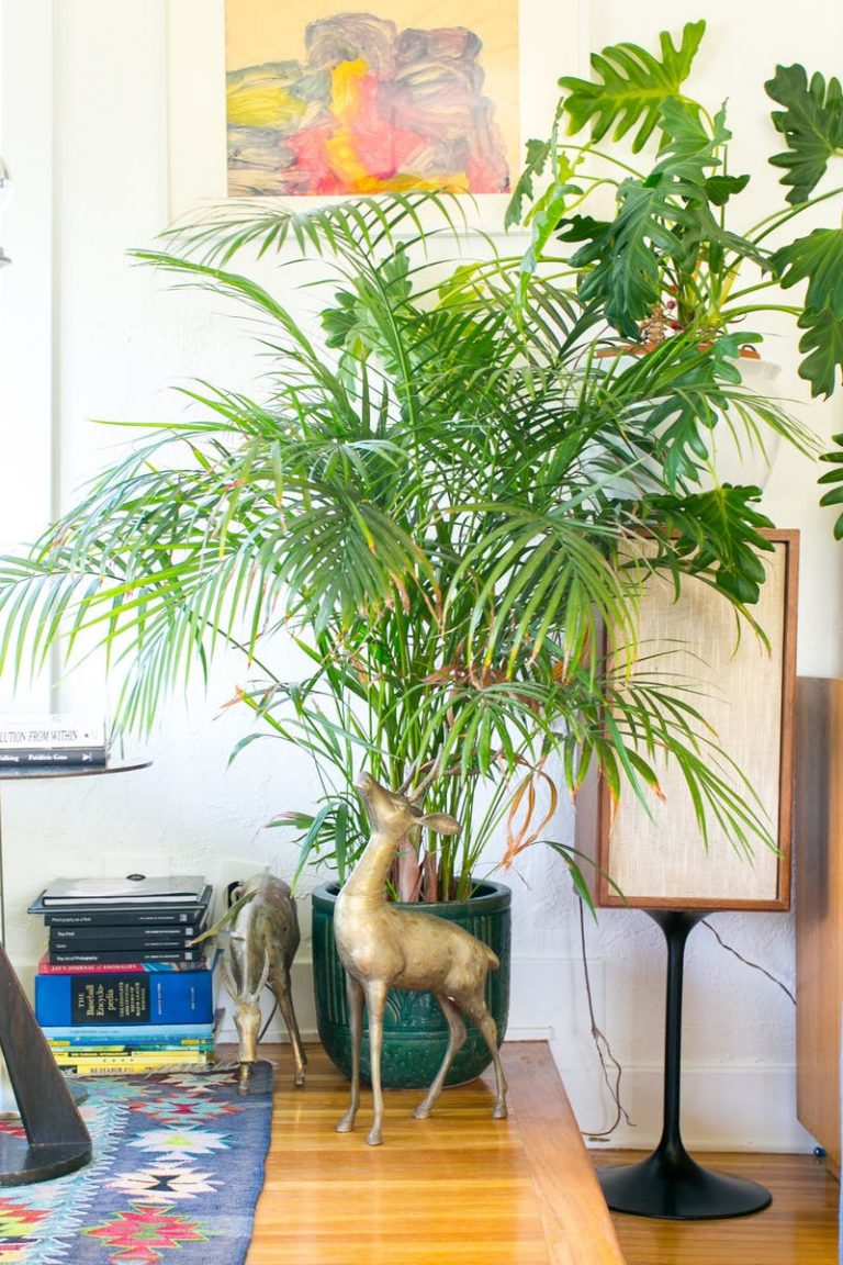 spring cleaning
