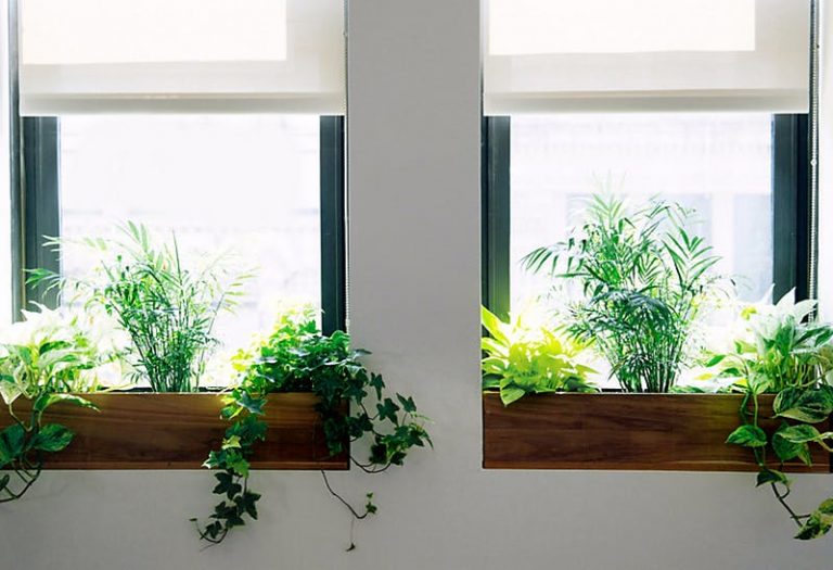 Window Sills