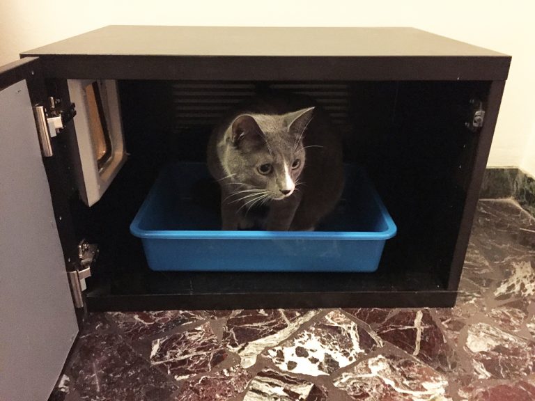 Litter Box