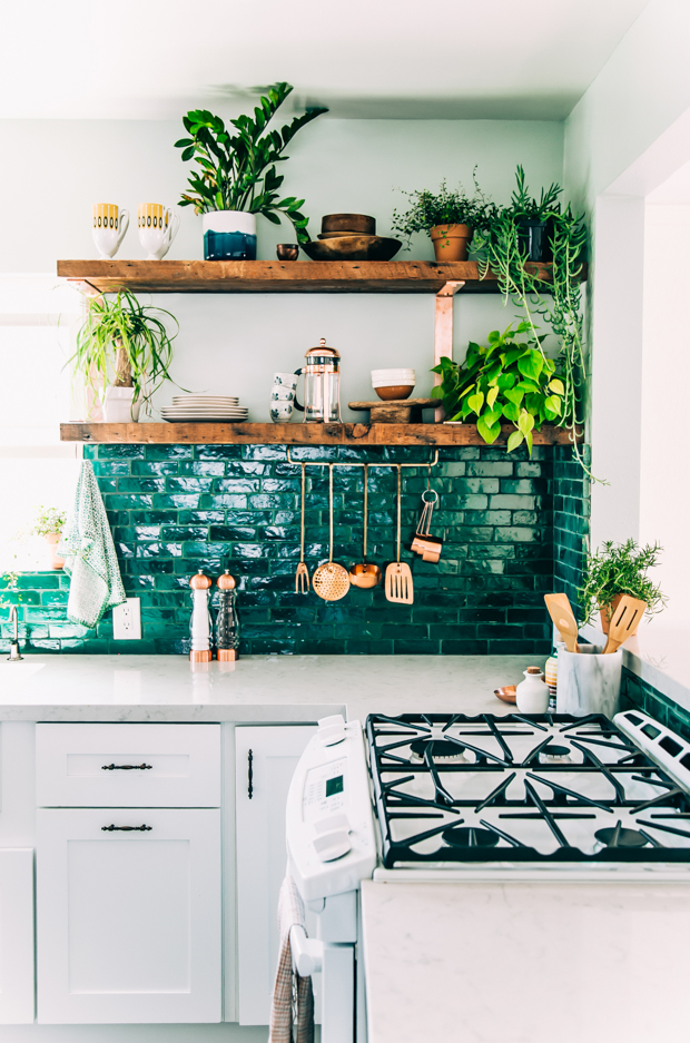 Kitchen Plants