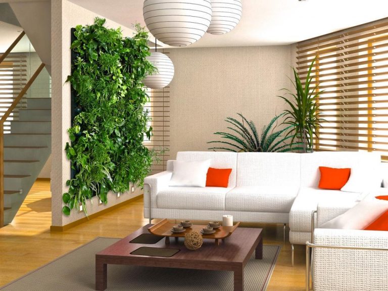 Wall Functionality