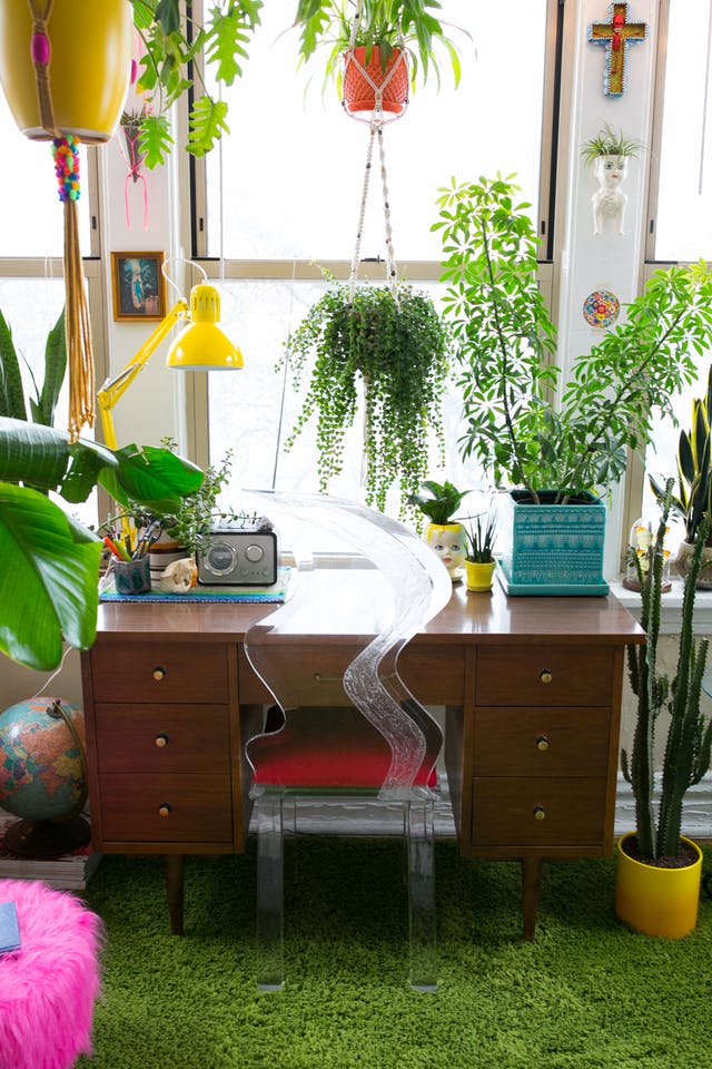 Hanging Plants